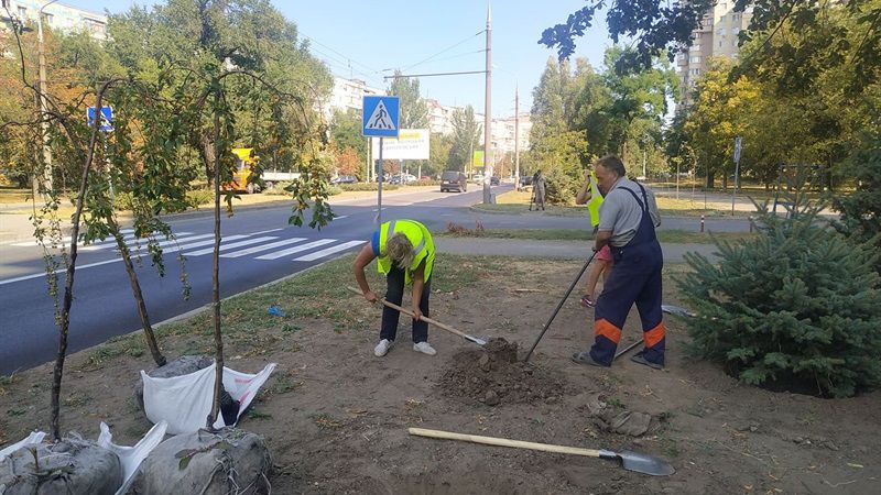 Запоріжжя: Район озеленюють на півтора  «екологічних» мільйона